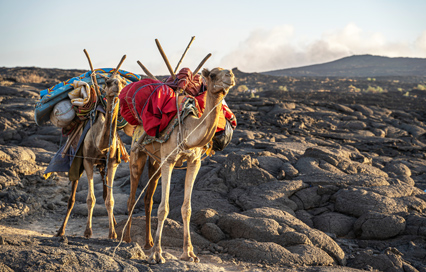 Top Active Volcanoes in Ethiopia You Must See