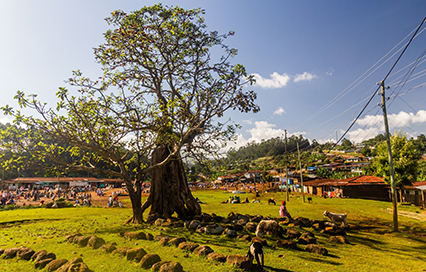 Exploring Dorze Village: What to See and Do