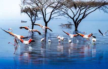 How to Travel from Egypt to Ethiopia: Routes and Costs