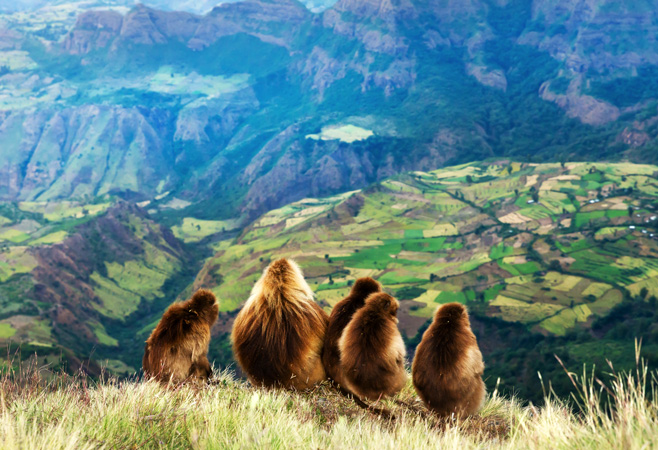The best time for Nigerians to visit Ethiopia is during the dry season from October to April