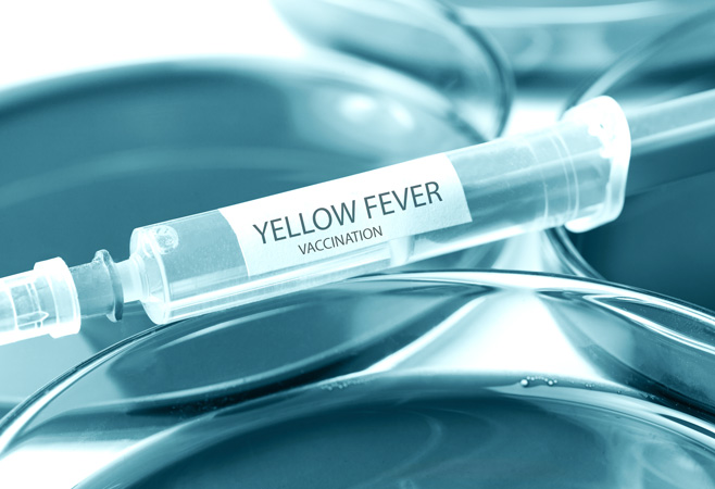 Ethiopia yellow fever vaccine requirements are part of the country’s public health protection measures.