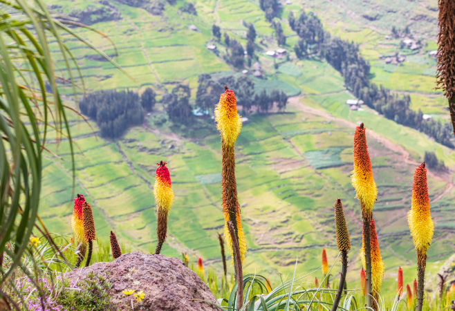 Breathtaking vistas from the Ethiopian Highlands