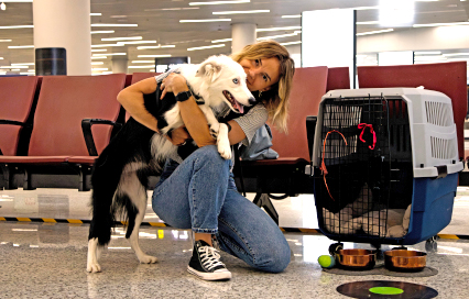 Bringing Pets to Ethiopia: Requirements & Travel Guide