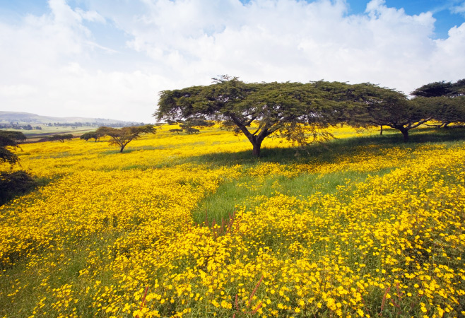 The Ethiopian highlands are a traveler’s tapestry of heritage and nature